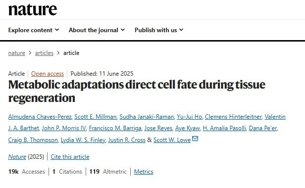 Alpha-Ketoglutarate: The Metabolic Key to Healing and Regeneration?