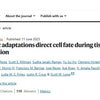 Alpha-Ketoglutarate: The Metabolic Key to Healing and Regeneration?