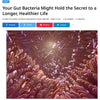 Could Your Gut Bacteria Hold the Key to a Longer, Healthier Life?