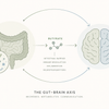 Butyrate, Autism and the Gut Microbiome: What Does the Research Show?