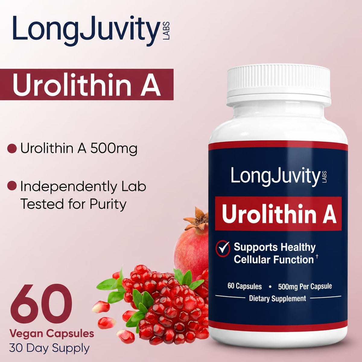 Urolithin A Supplement (500mg) – Pure, High-Potency Lab Tested Postbiotic for Optimal Cellular Health (60 Capsules)