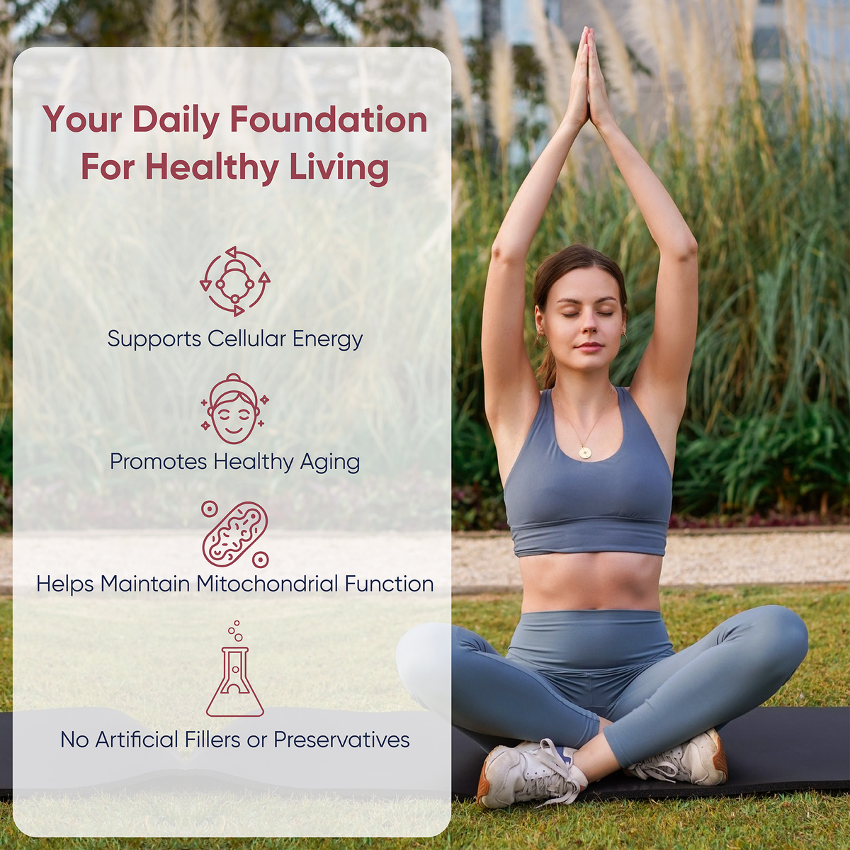 LongJuvity Urolithin A Supplement (500mg) – Mitochondrial Supplement for Healthy Aging – Pure, High-Potency Mitophagy Activator – Lab Tested Postbiotic (60 Capsules)