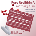 LongJuvity Urolithin A Supplement (500mg) – Mitochondrial Supplement for Healthy Aging – Pure, High-Potency Mitophagy Activator – Lab Tested Postbiotic (60 Capsules)