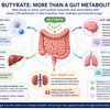 New Study Finds Oral Sodium Butyrate Associated With Lower LPS Across Multiple Organs